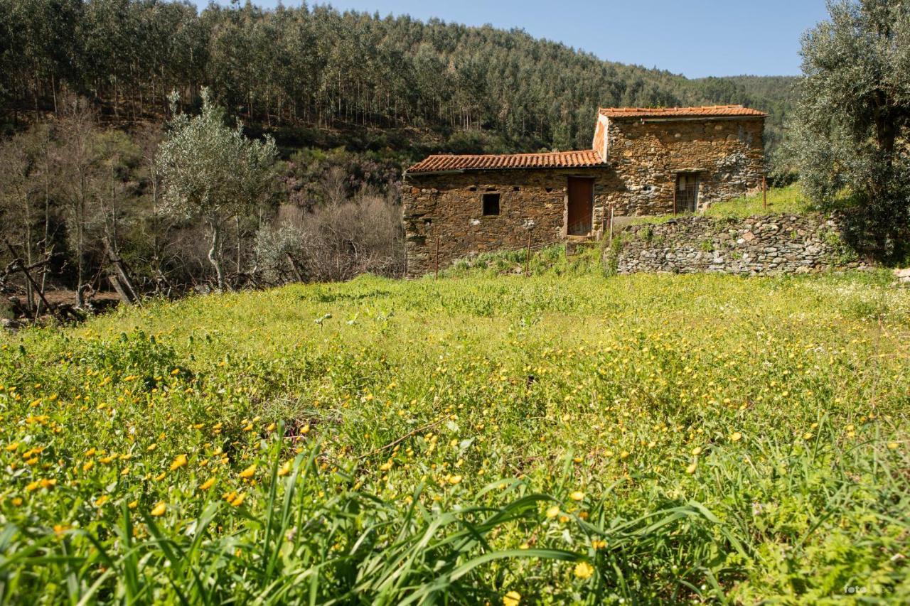 Vila Casinha Da Aldeia Castelo Branco  Exteriér fotografie