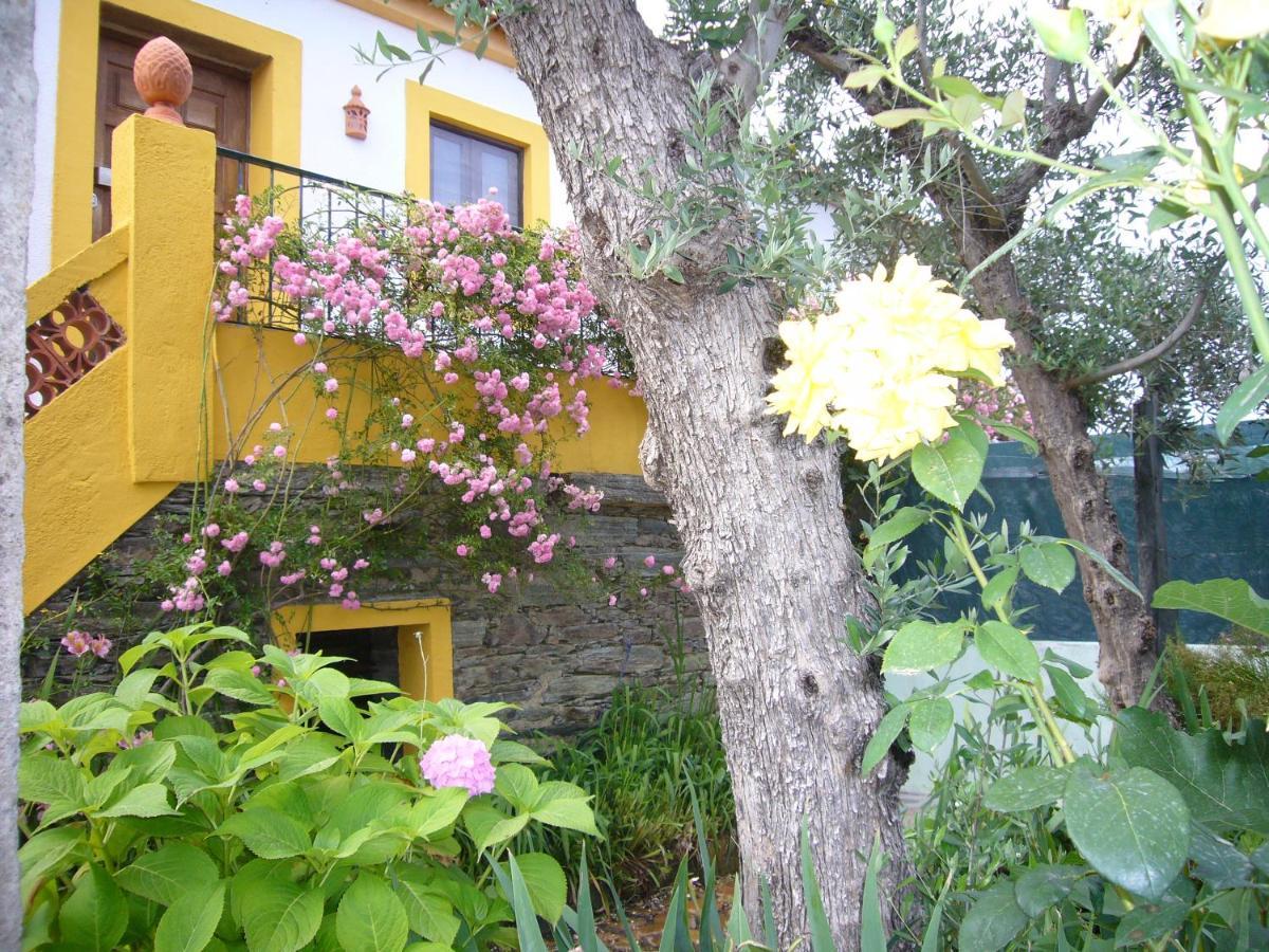 Vila Casinha Da Aldeia Castelo Branco  Exteriér fotografie