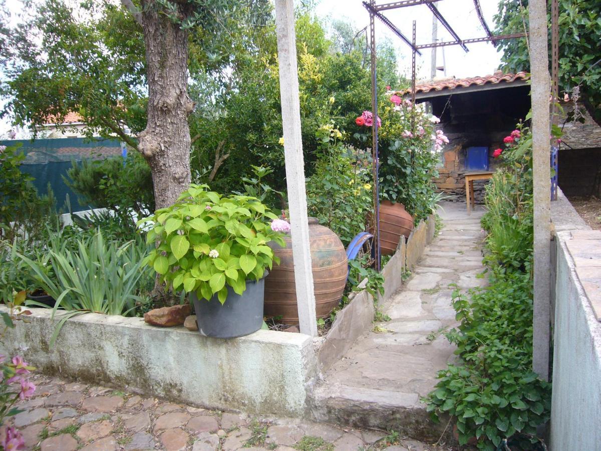 Vila Casinha Da Aldeia Castelo Branco  Exteriér fotografie